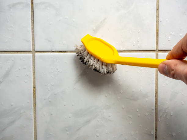 Best Mold Remediation  in Olivehurst, CA
