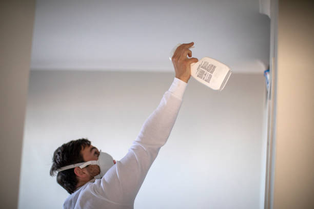 Best Mold Removal Company Near Me  in Olivehurst, CA