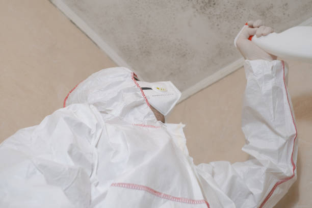 Best Mold Testing  in Olivehurst, CA