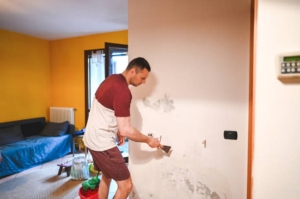 Best Mold Damage Repair  in Olivehurst, CA